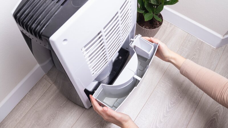 Humidity-Proof Your Home: Preventing Mold, Moisture, and Summer Damage Photo